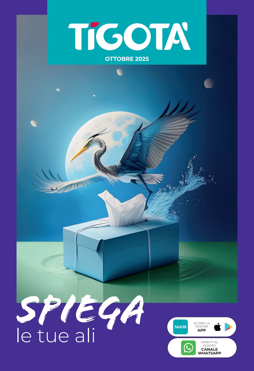 tigota - Volantino Tigota valido dal 01/10 al 31/10