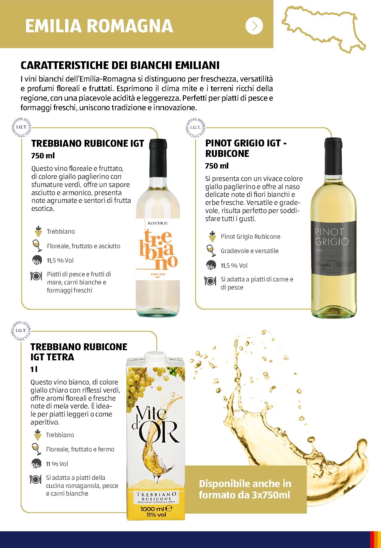 aldi - Volantino attuale di ALDI - Brochure Vinoteca valido dal lunedì 06/07/2026 al giovedì 31/12/2026 - page: 31