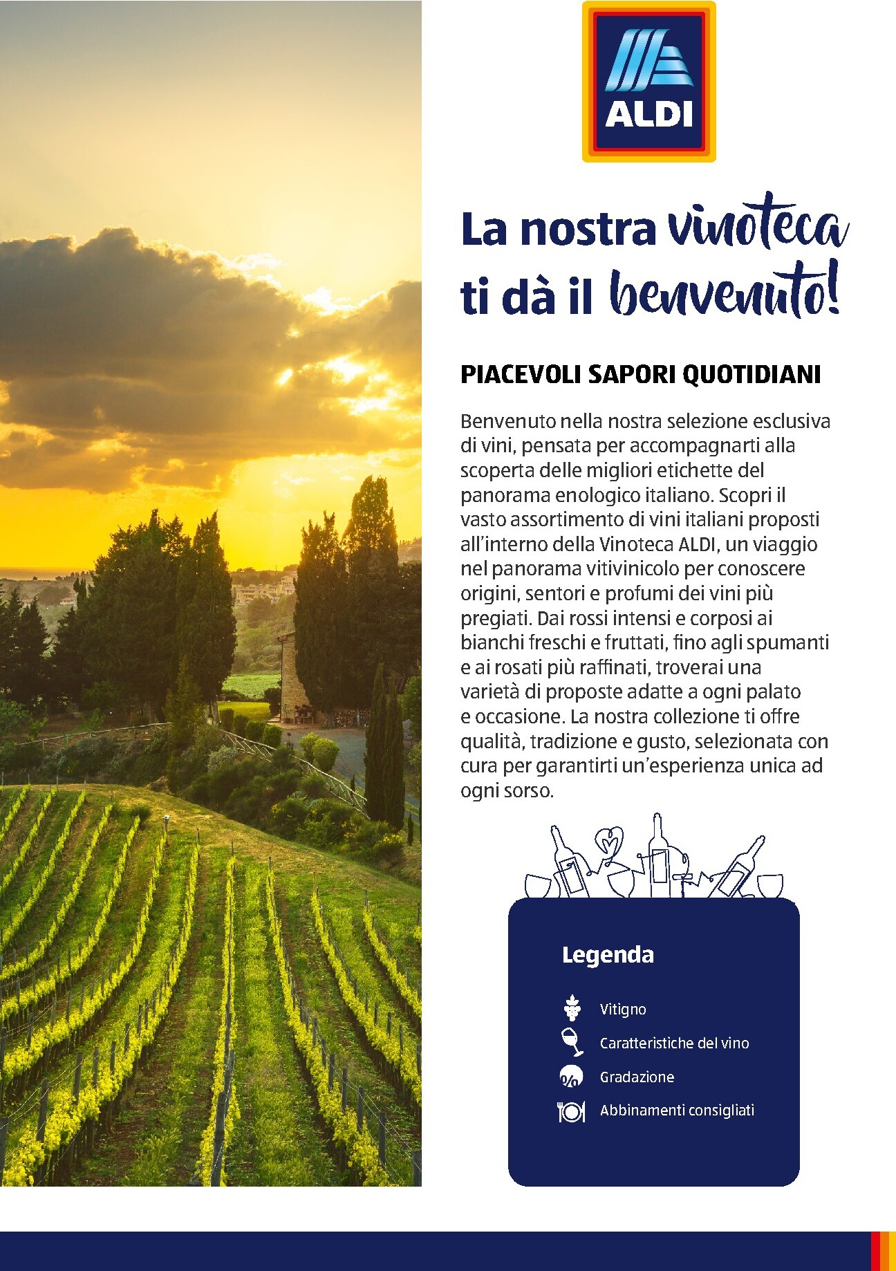 aldi - Volantino attuale di ALDI - Brochure Vinoteca valido dal lunedì 06/07/2026 al giovedì 31/12/2026 - page: 2