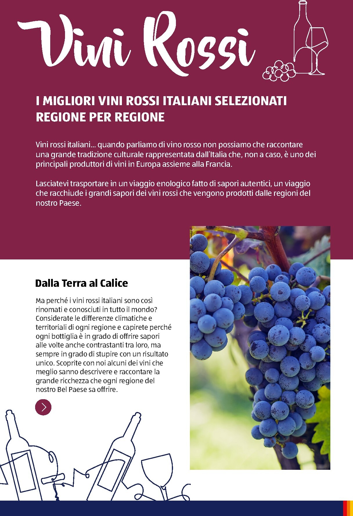 aldi - Volantino attuale di ALDI - Brochure Vinoteca valido dal lunedì 06/07/2026 al giovedì 31/12/2026 - page: 8