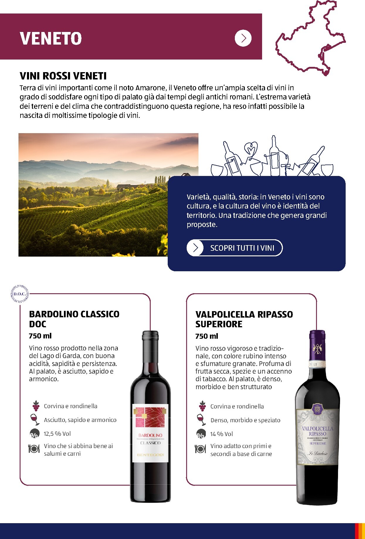 aldi - Volantino attuale di ALDI - Brochure Vinoteca valido dal lunedì 06/07/2026 al giovedì 31/12/2026 - page: 19