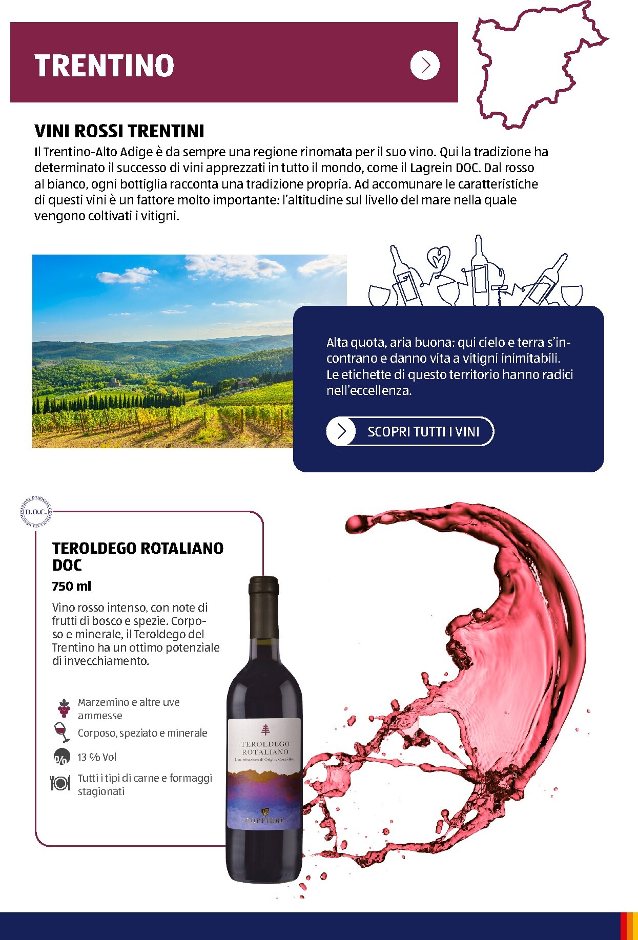 aldi - Volantino attuale di ALDI - Brochure Vinoteca valido dal lunedì 06/07/2026 al giovedì 31/12/2026 - page: 17
