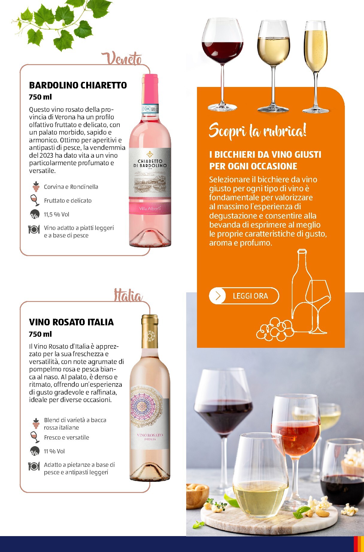 aldi - Volantino attuale di ALDI - Brochure Vinoteca valido dal lunedì 06/07/2026 al giovedì 31/12/2026 - page: 47