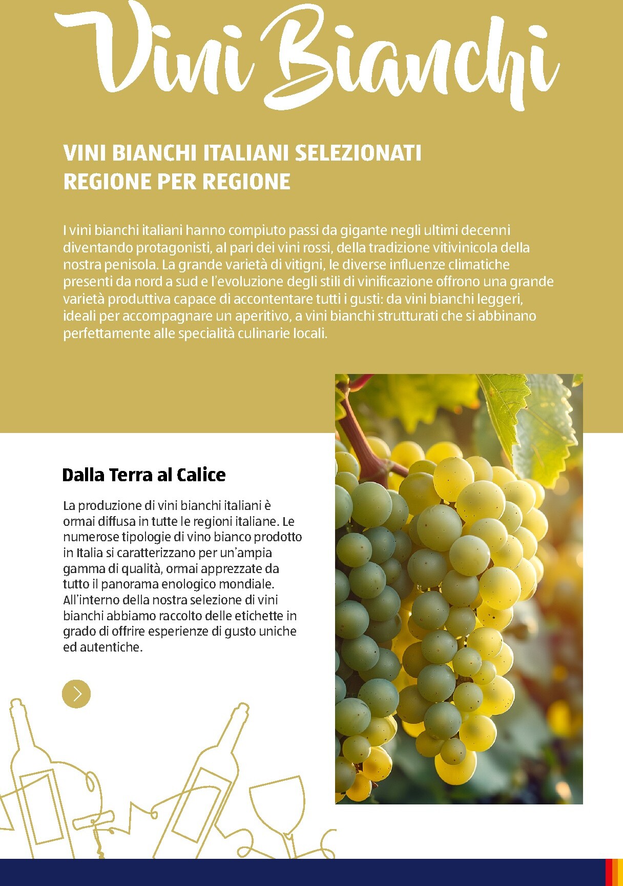aldi - Volantino attuale di ALDI - Brochure Vinoteca valido dal lunedì 06/07/2026 al giovedì 31/12/2026 - page: 30