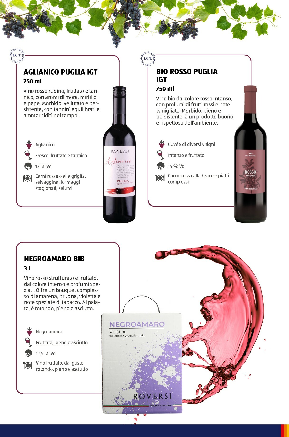 aldi - Volantino ALDI - Brochure Vinoteca valido dal 01/11 al 31/12 - page: 13