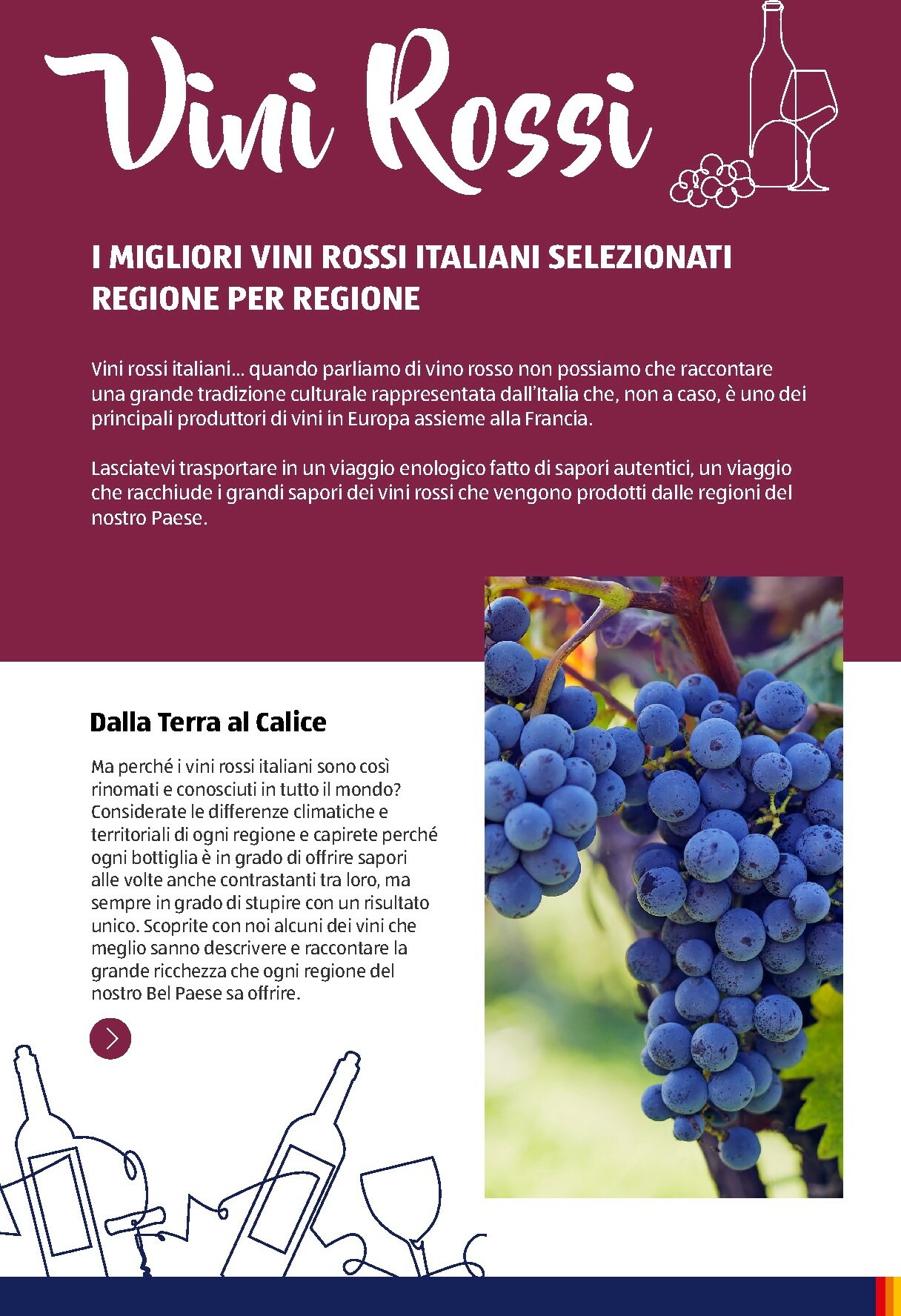 aldi - Volantino ALDI - Brochure Vinoteca valido dal 01/11 al 31/12 - page: 8