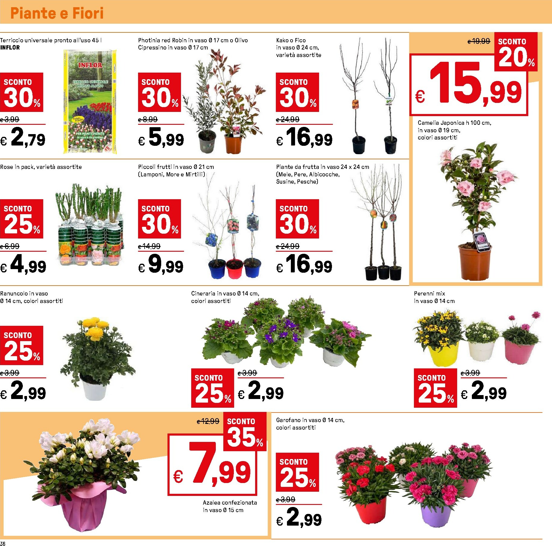 iper - Volantino Iper valido dal 05/02/2026 al 14/02/2026 - page: 36