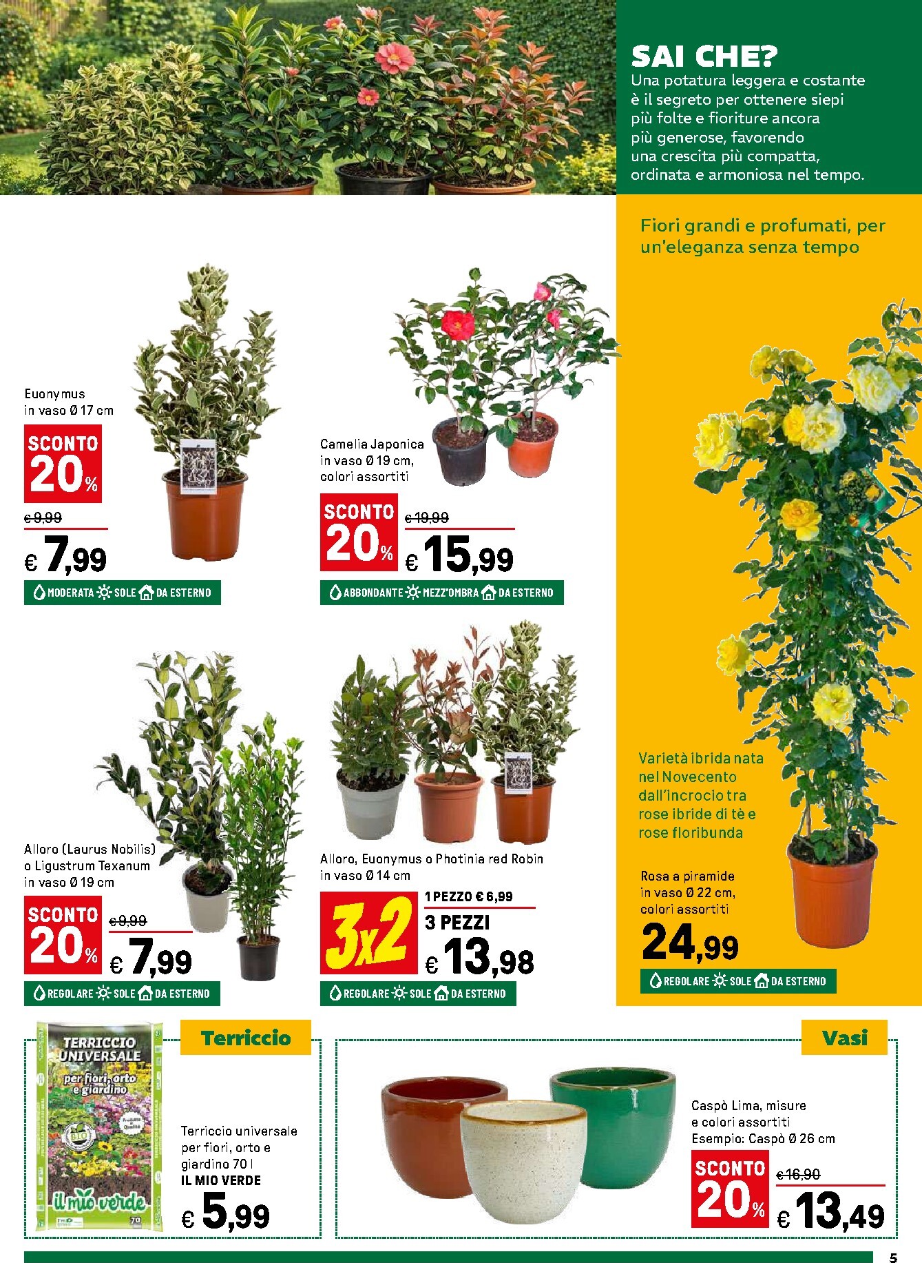 iper - Volantino Iper - Giardino in fiore valido dal 16/03/2026 al 12/04/2026 - page: 5