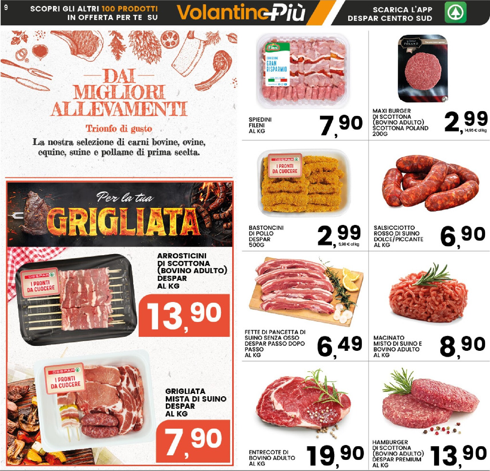 interspar - Volantino INTERSPAR valido dal 26/03/2026 al 05/04/2026 - page: 13