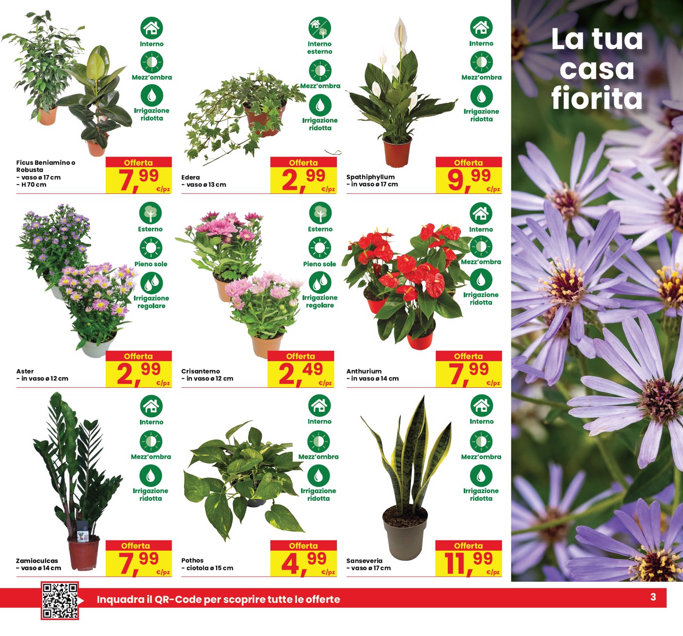 eurospar - Volantino attuale di Eurospar - Sconti di Qualità valido dal giovedì 03/09/2026 al mercoledì 16/09/2026 - page: 3