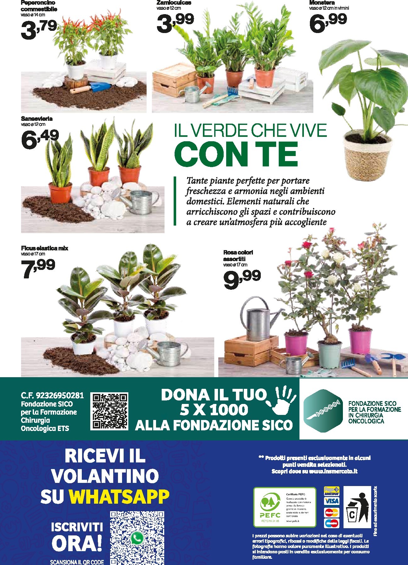 in-s - Volantino futuro In's valido dal mercoledì 03/06/2026 al domenica 14/06/2026 - page: 13