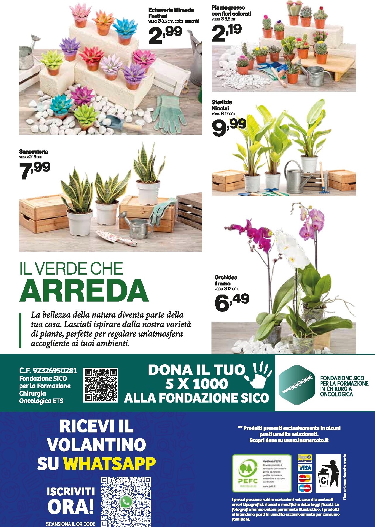 in-s - Volantino futuro In's valido dal mercoledì 15/07/2026 al domenica 26/07/2026 - page: 13