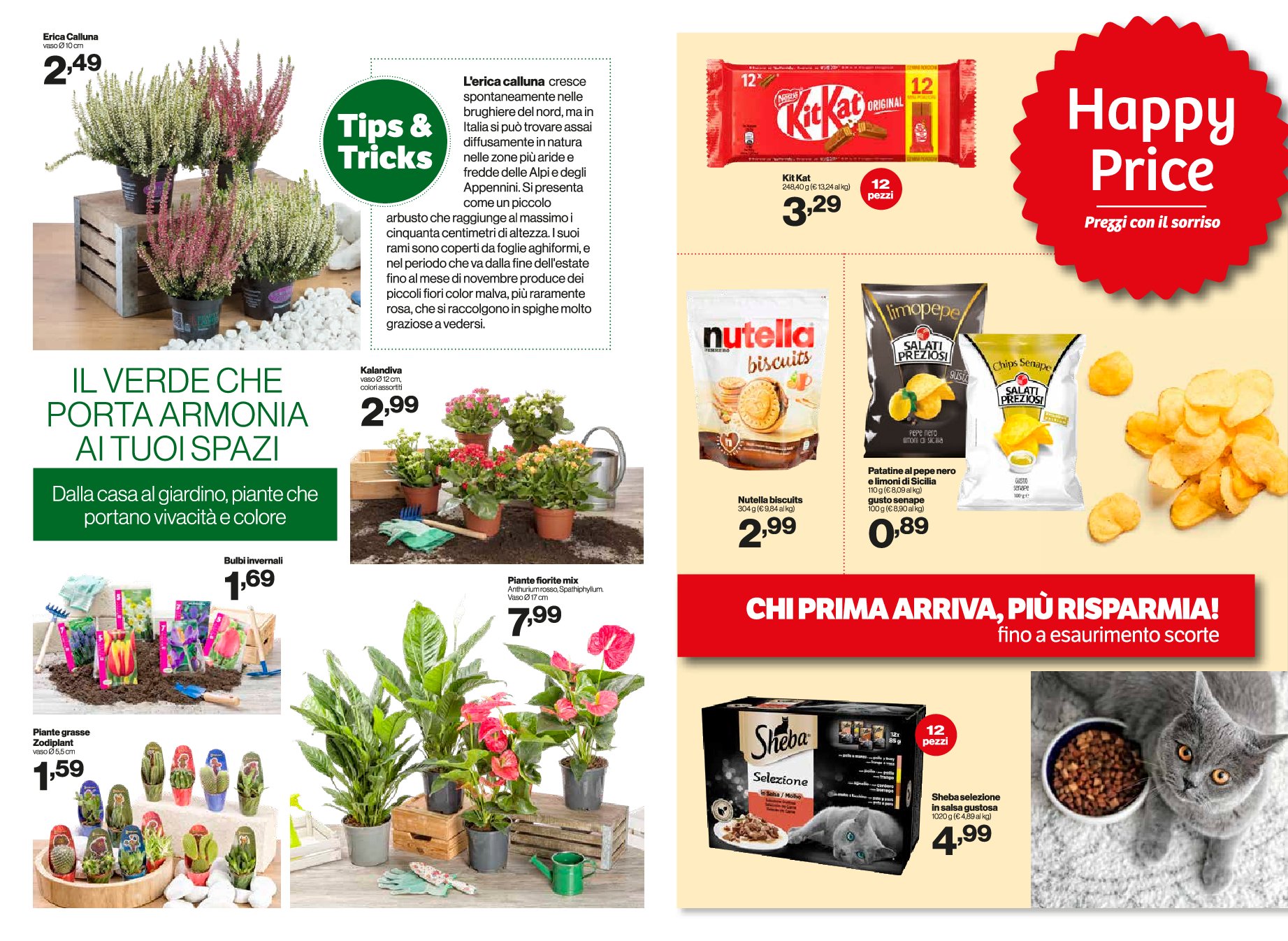 in-s - Volantino In's valido dal 10/09 al 21/09 - page: 9