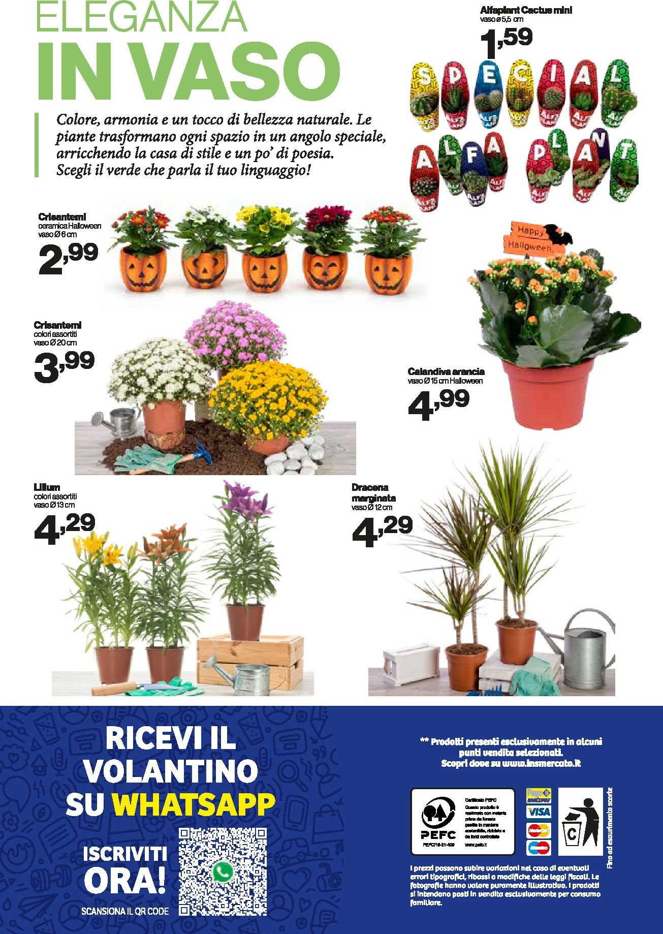 in-s - Volantino In's valido dal 08/10 al 19/10 - page: 13