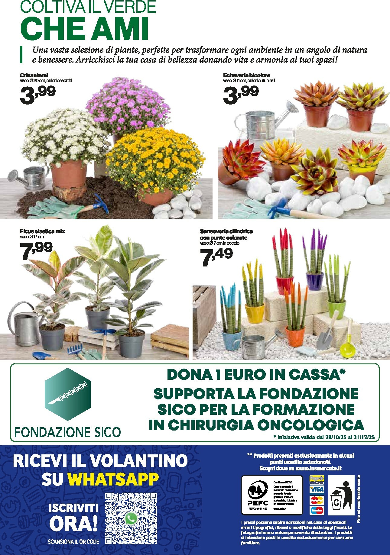 in-s - Volantino In's valido dal 22/10 al 02/11 - page: 13