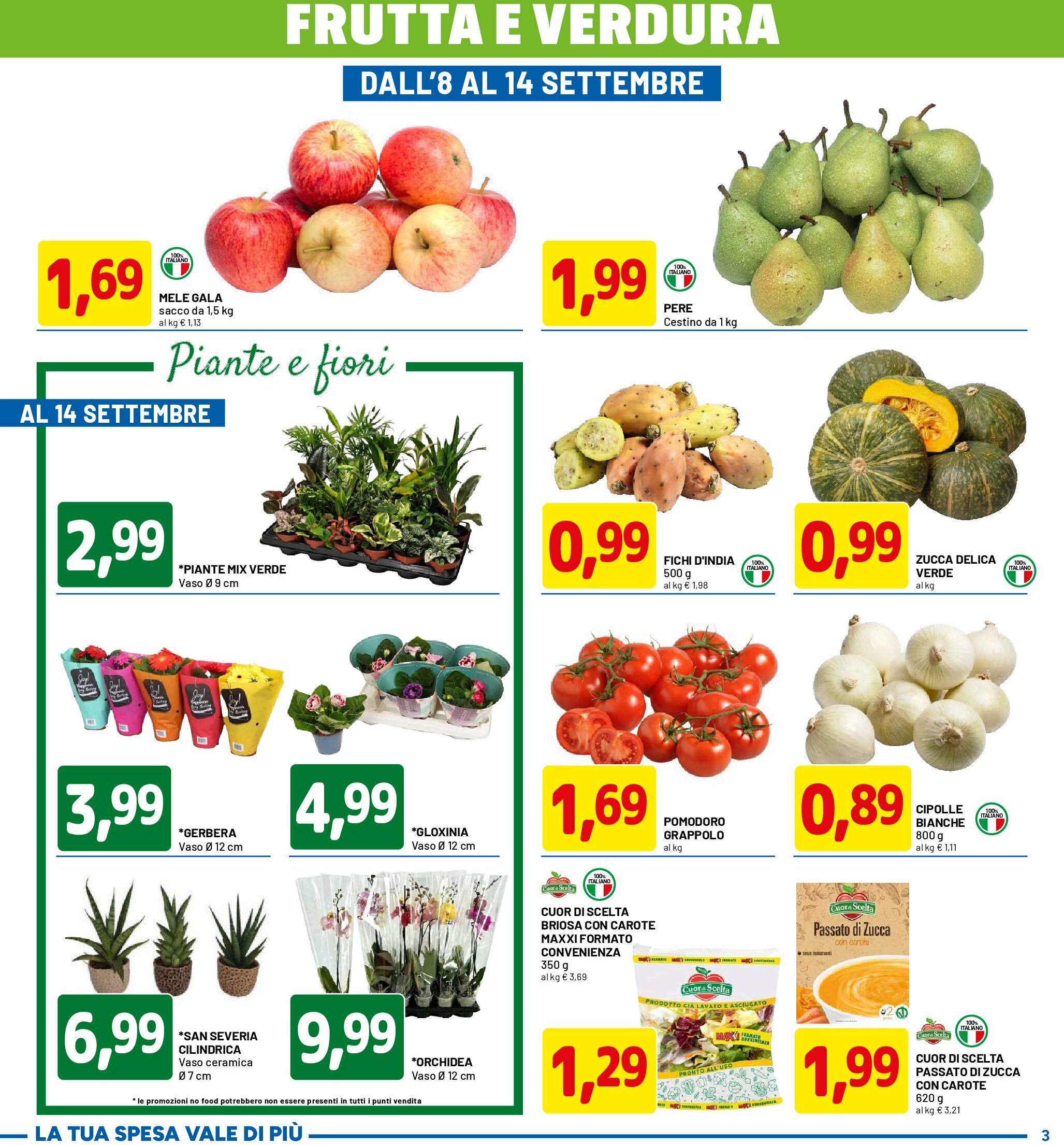 dpiu - Volantino DPiù valido dal 01/09 al 14/09 - page: 3