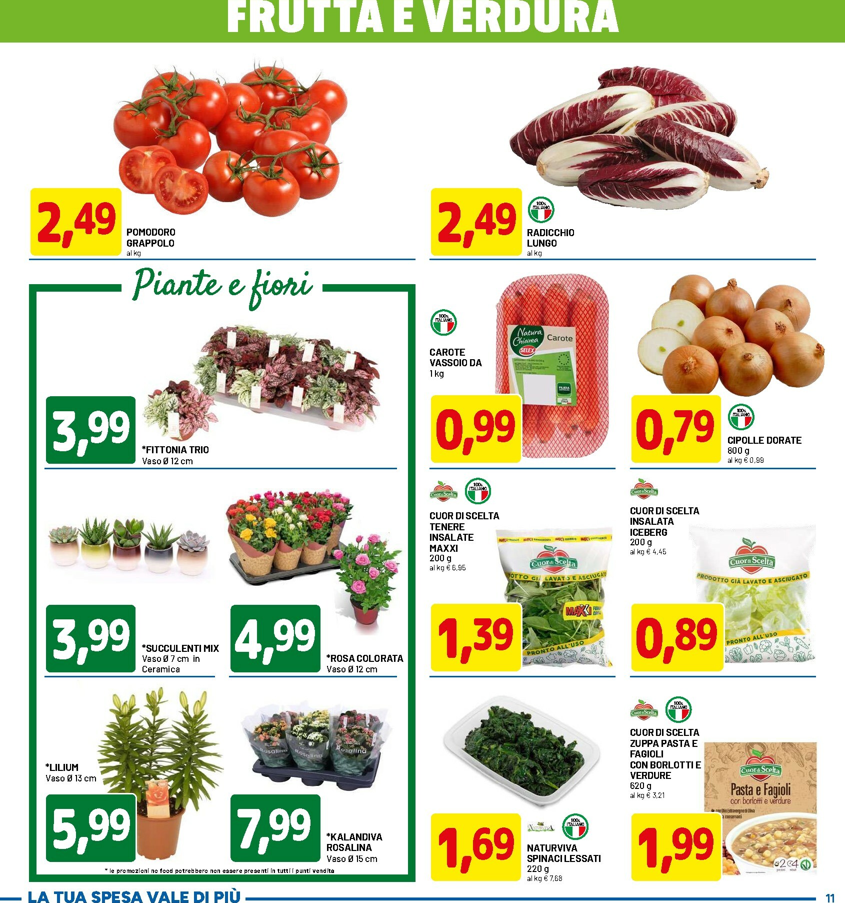 dpiu - Volantino DPiù valido dal 06/11 al 15/11 - page: 11