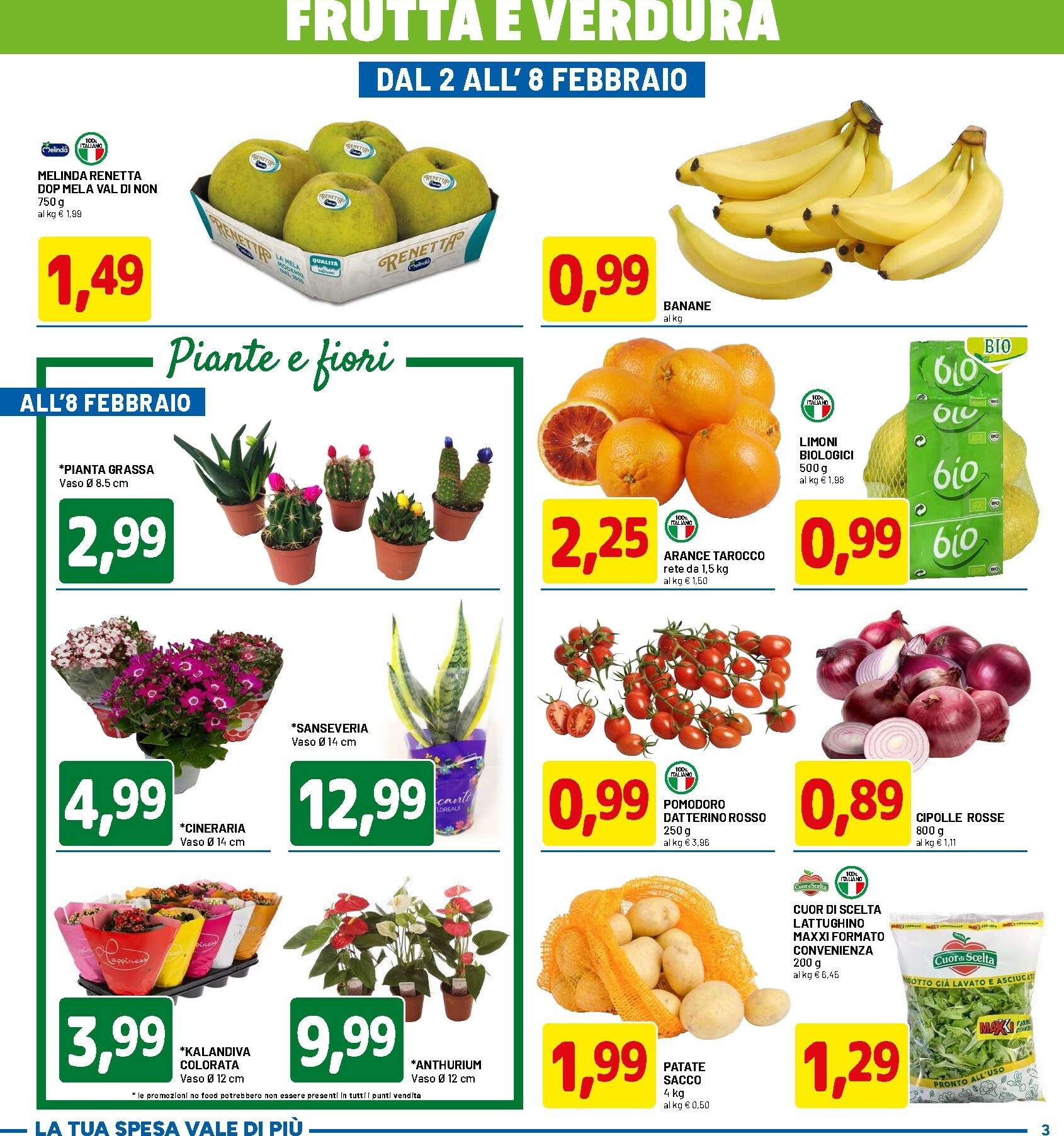 dpiu - Volantino DPiù valido dal 26/01 al 08/02 - page: 3