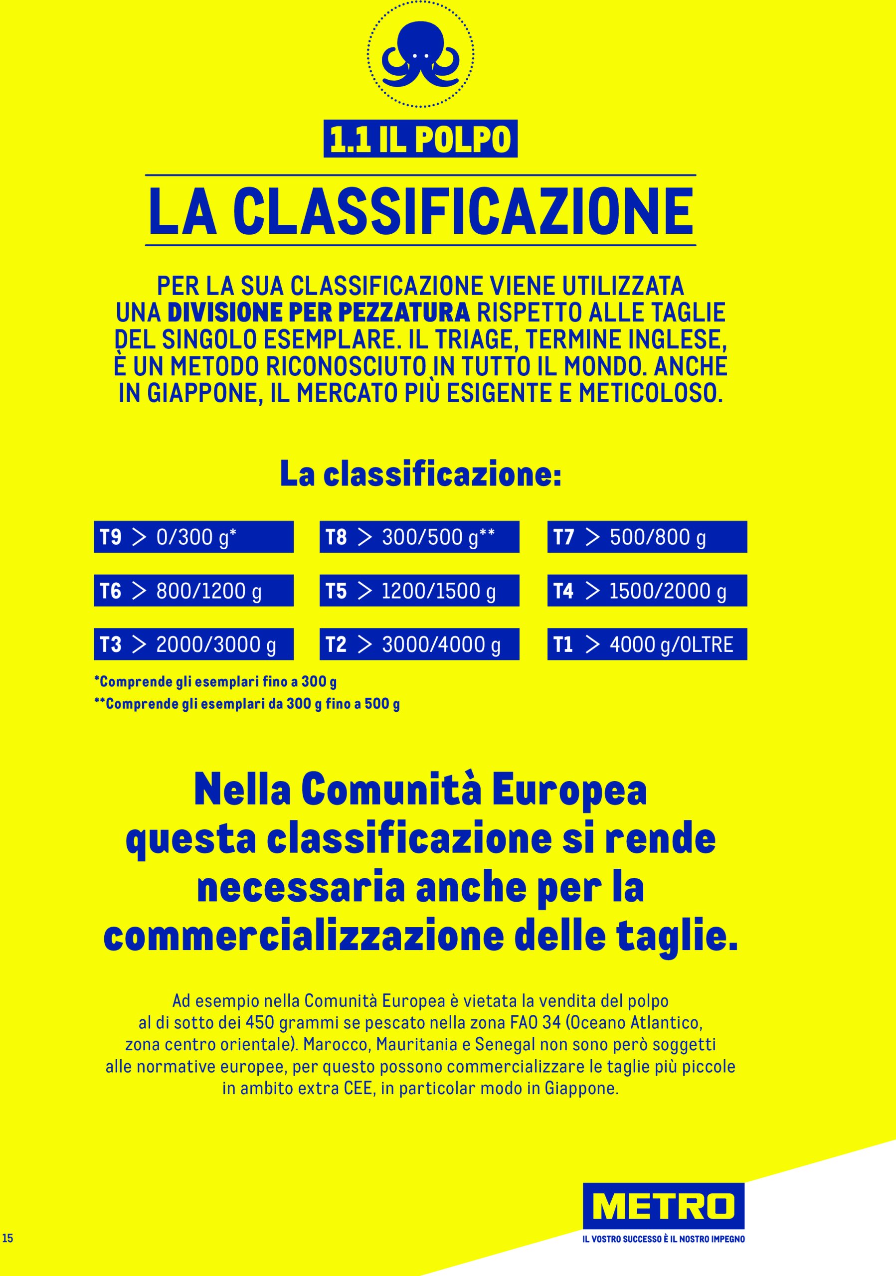 metro - Volantino Metro - Catalogo Surgelat valido dal 20/05 al 31/05 - page: 15 metro - Volantino Metro - Catalogo Surgelat valido dal 20/05 al 31/05 - page: 15