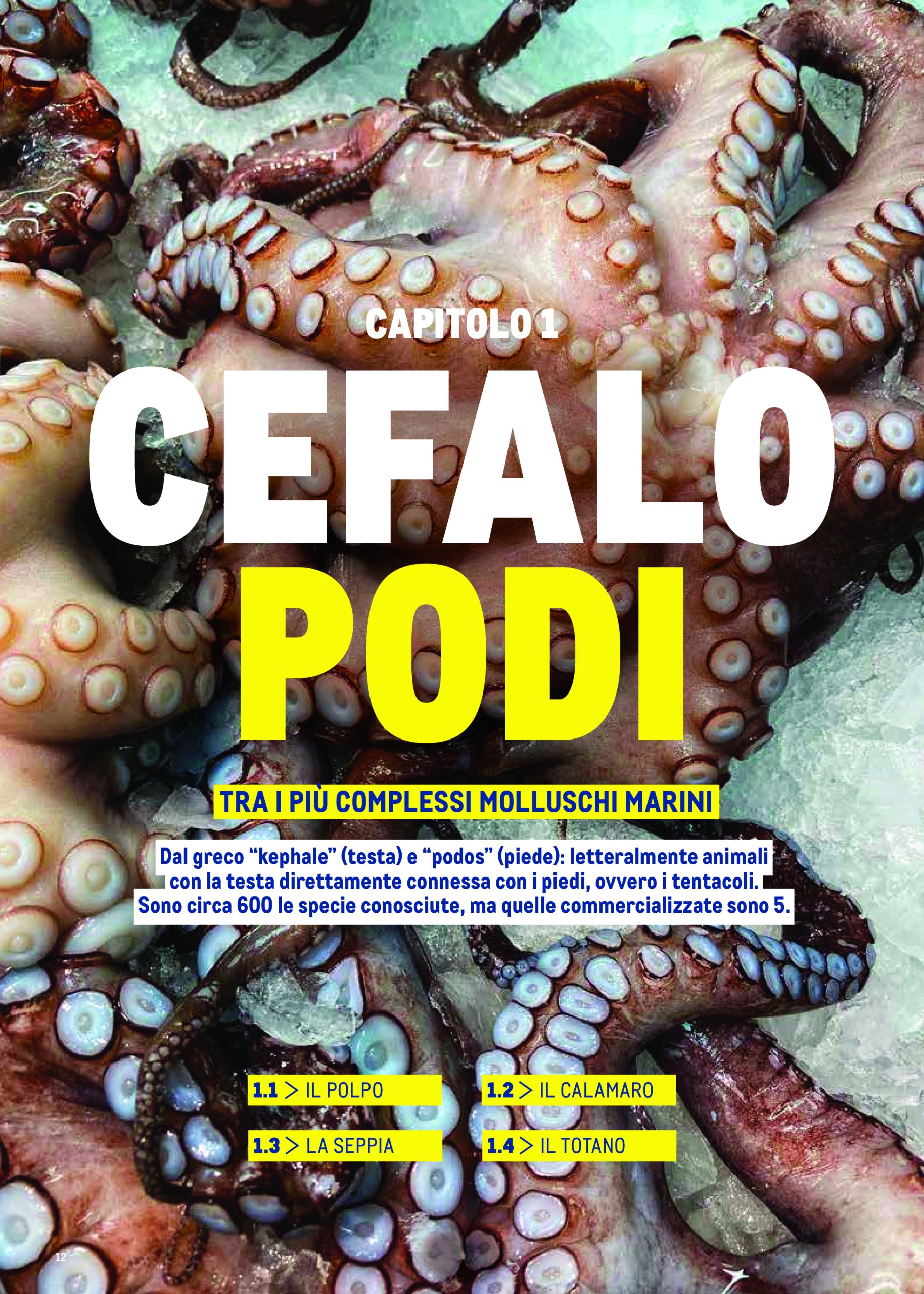 metro - Volantino Metro - Catalogo Surgelat valido dal 20/05 al 31/05 - page: 12 metro - Volantino Metro - Catalogo Surgelat valido dal 20/05 al 31/05 - page: 12