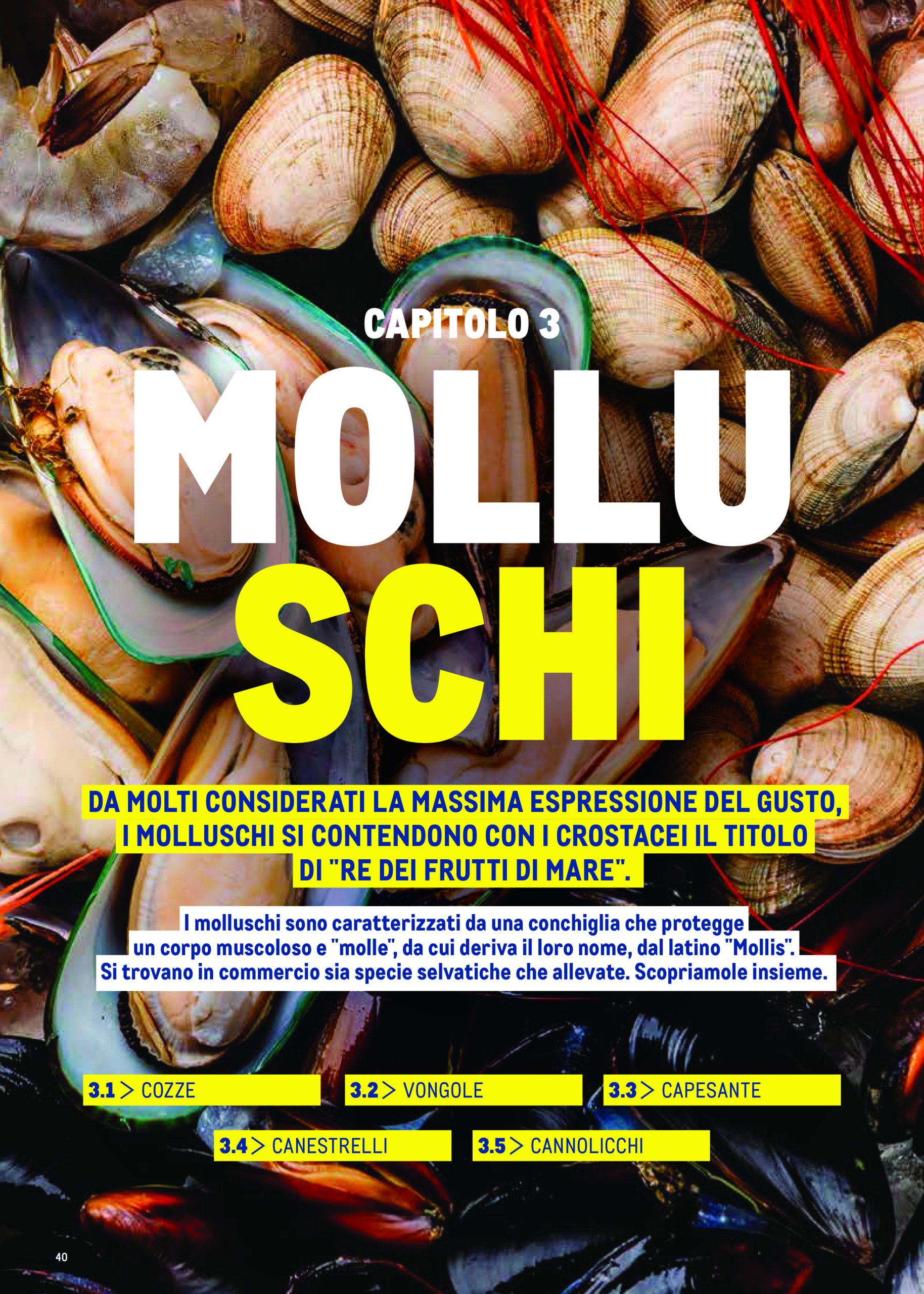 metro - Volantino Metro - Catalogo Surgelat valido dal 20/05 al 31/05 - page: 40 metro - Volantino Metro - Catalogo Surgelat valido dal 20/05 al 31/05 - page: 40