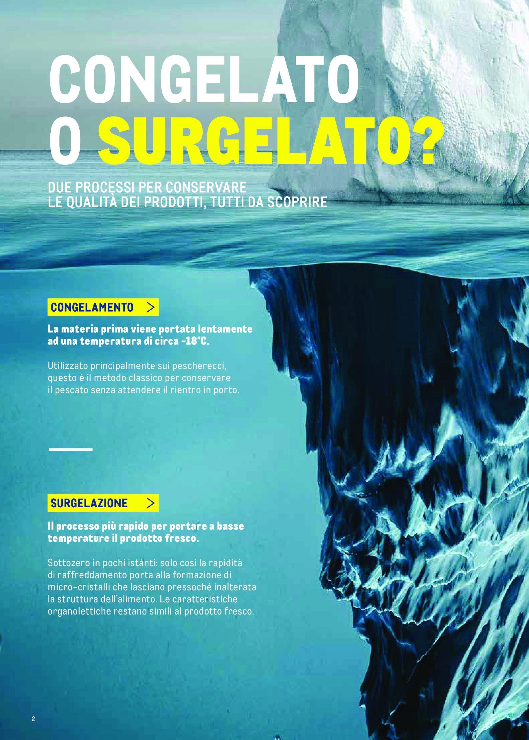 metro - Volantino Metro - Catalogo Surgelat valido dal 20/05 al 31/05 - page: 2 metro - Volantino Metro - Catalogo Surgelat valido dal 20/05 al 31/05 - page: 2