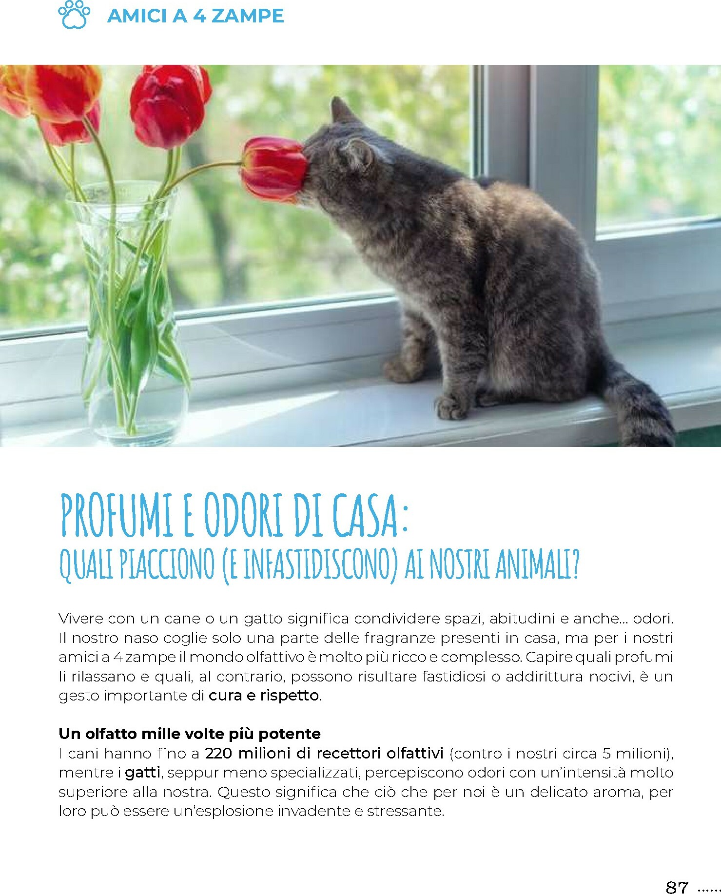 gulliver - Volantino Gulliver - Gulli Novembre valido dal 01/11 al 30/11 - page: 87