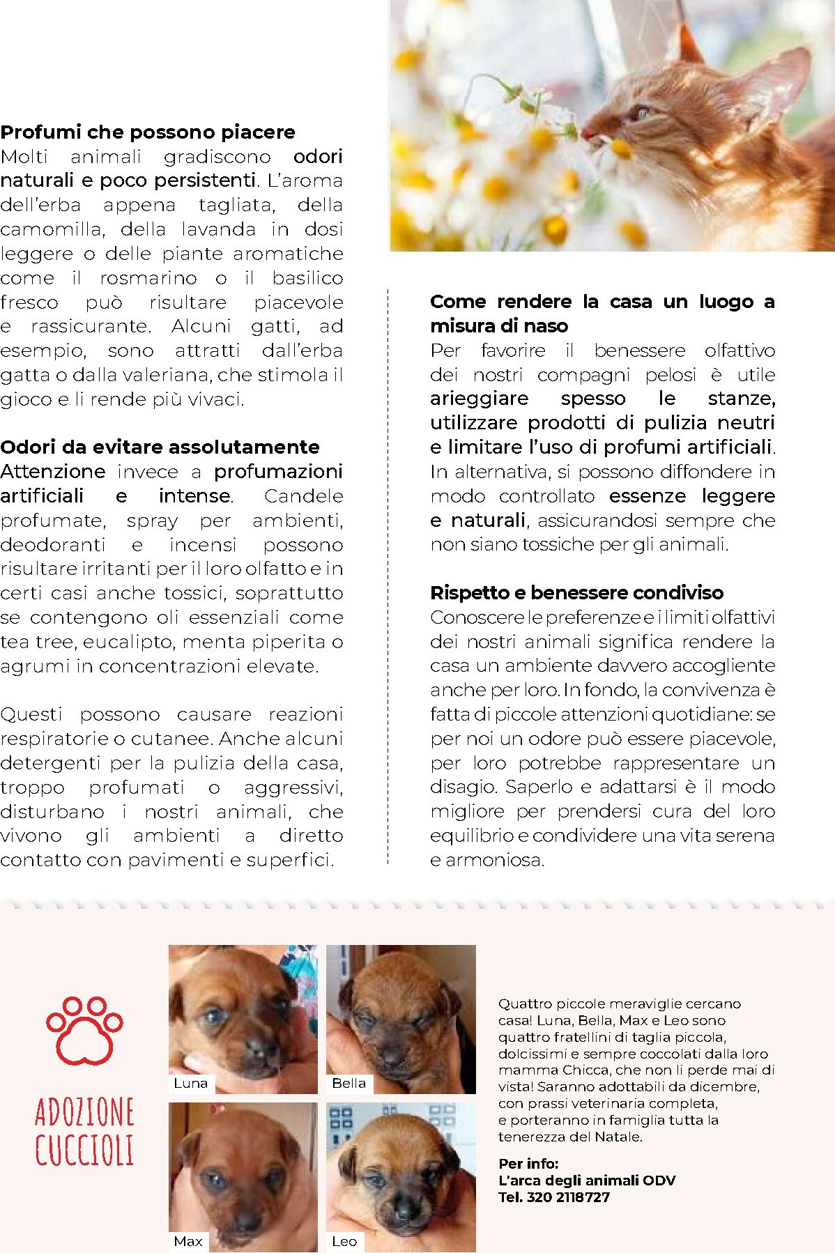 gulliver - Volantino Gulliver - Gulli Novembre valido dal 01/11 al 30/11 - page: 89