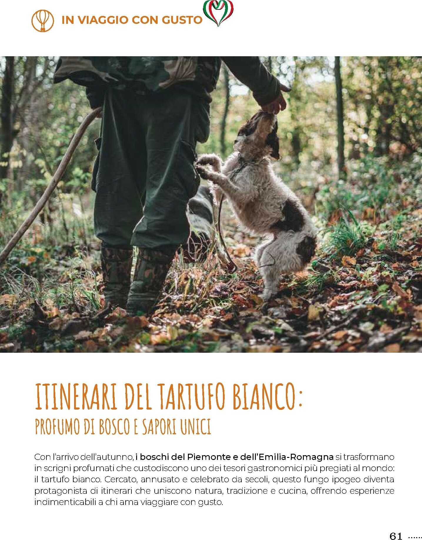 gulliver - Volantino Gulliver - Gulli Novembre valido dal 01/11 al 30/11 - page: 61