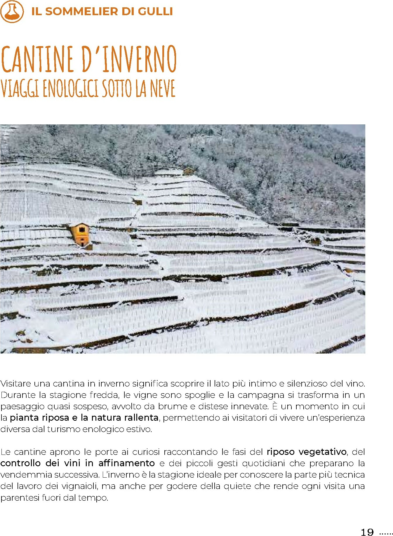 gulliver - Volantino Gulliver - Gulli Dicembre valido dal 01/12 al 31/12 - page: 19