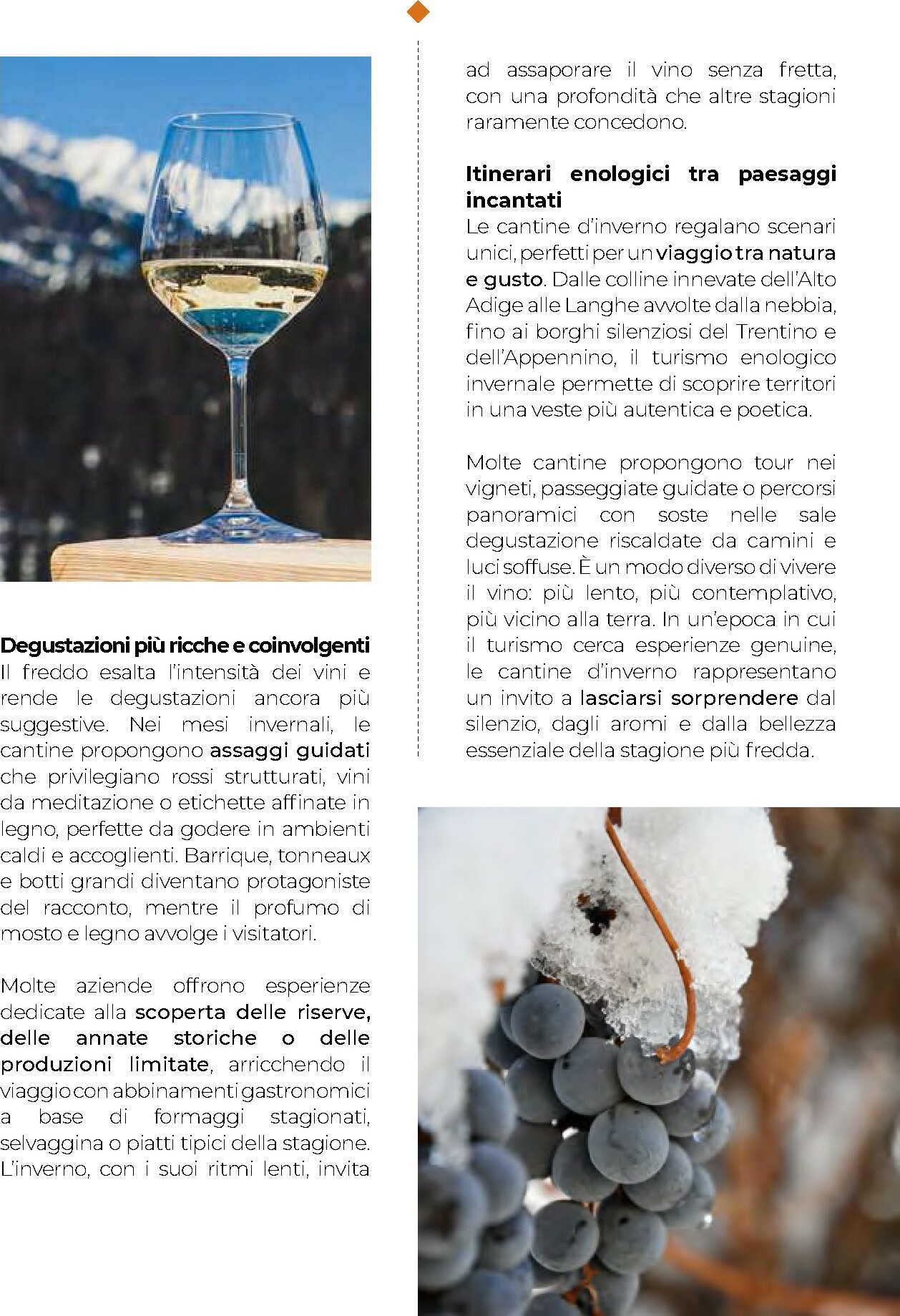 gulliver - Volantino Gulliver - Gulli Dicembre valido dal 01/12 al 31/12 - page: 21