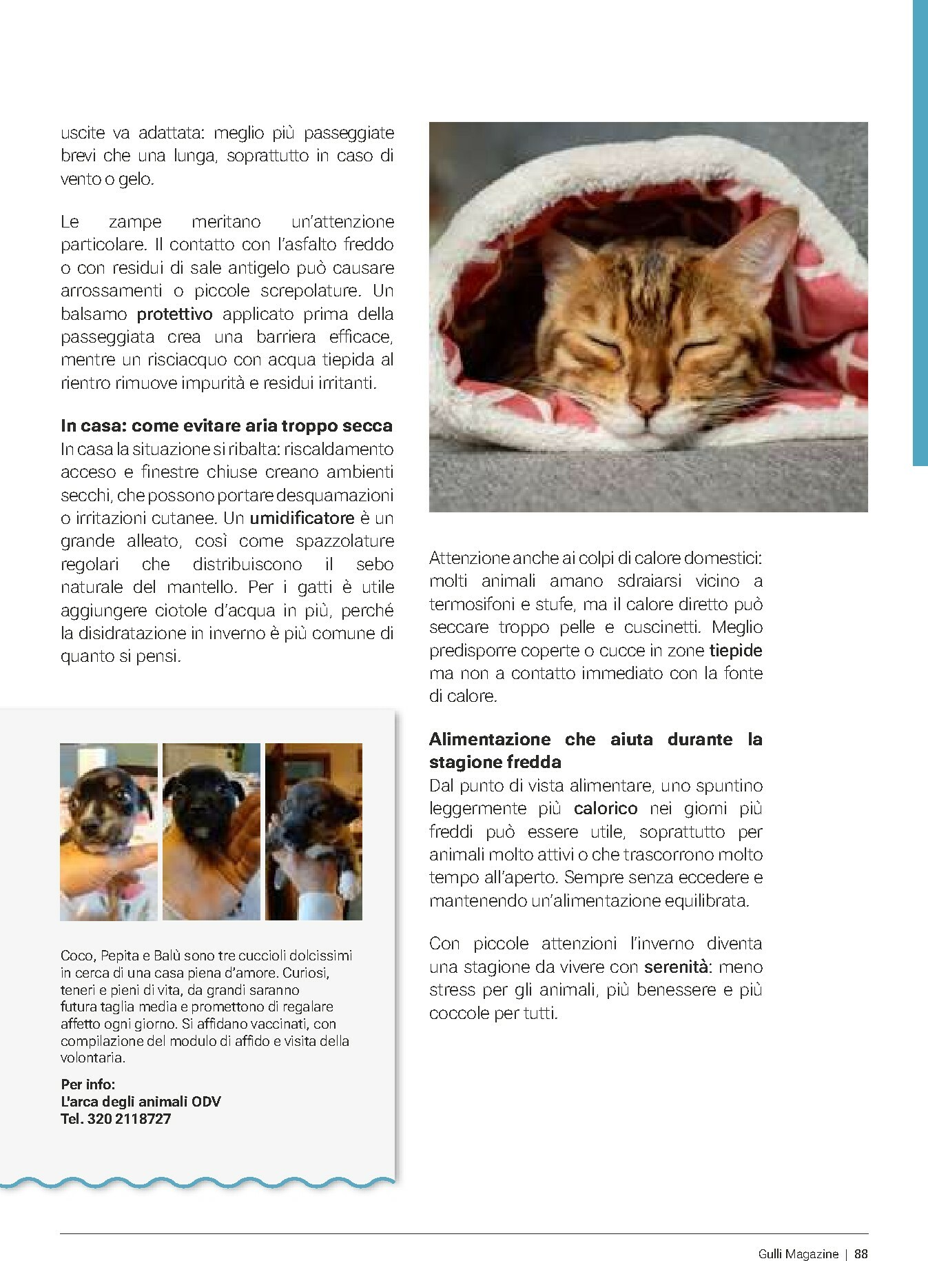 gulliver - Volantino Gulliver - Gulli Gennaio valido dal 01/01 al 31/01 - page: 88