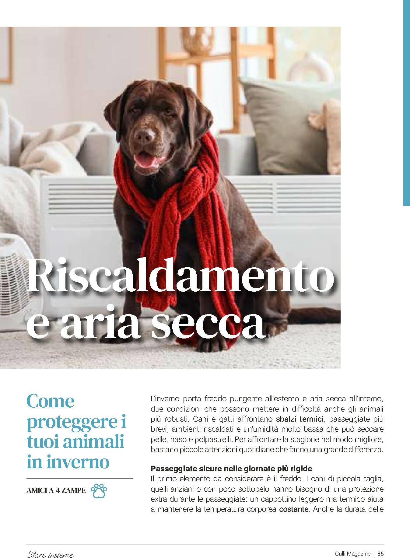 gulliver - Volantino Gulliver - Gulli Gennaio valido dal 01/01 al 31/01 - page: 86