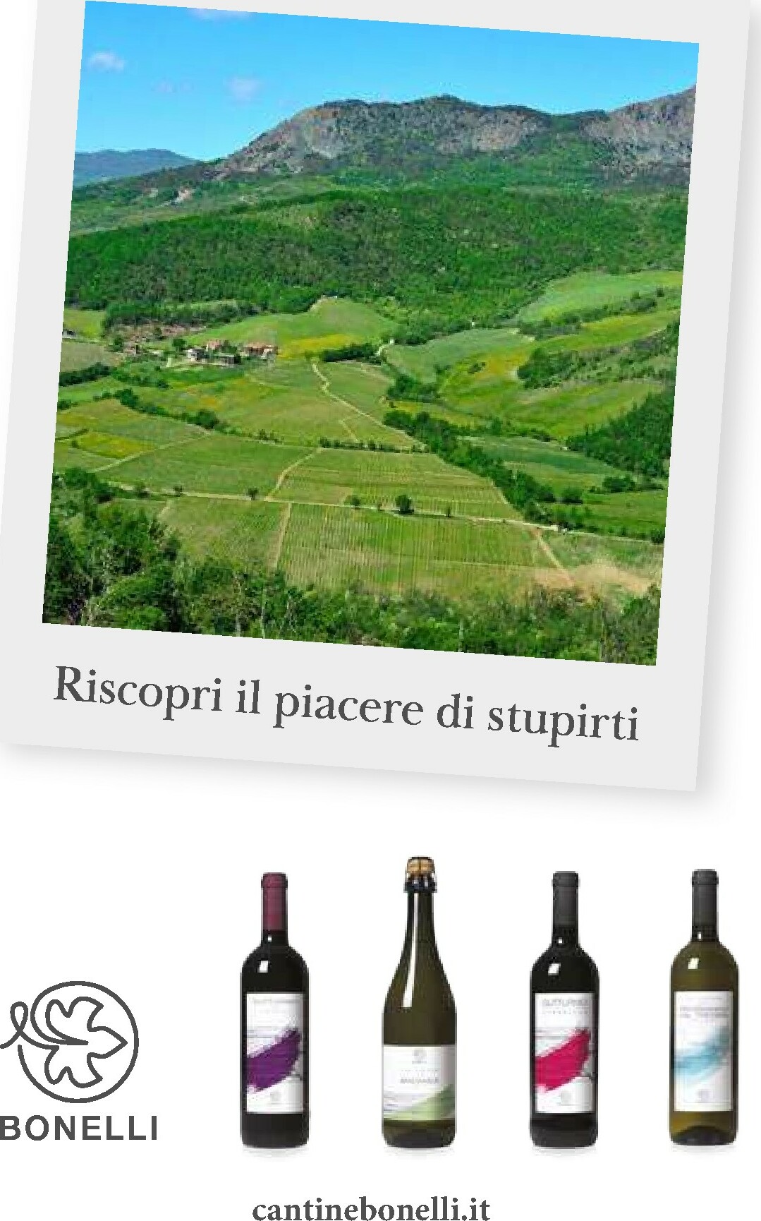 gulliver - Volantino Gulliver - Gulli Gennaio valido dal 01/01 al 31/01 - page: 45