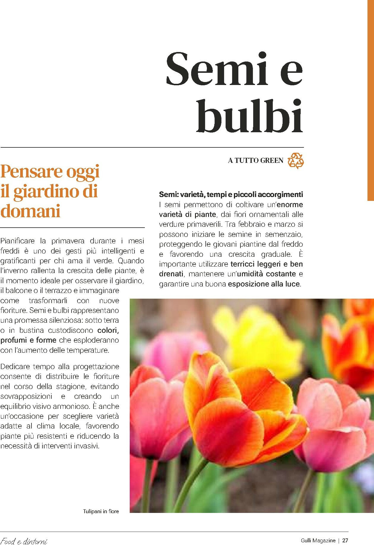 gulliver - Volantino Gulliver - Febbraio valido dal 01/02/2026 al 28/02/2026 - page: 27