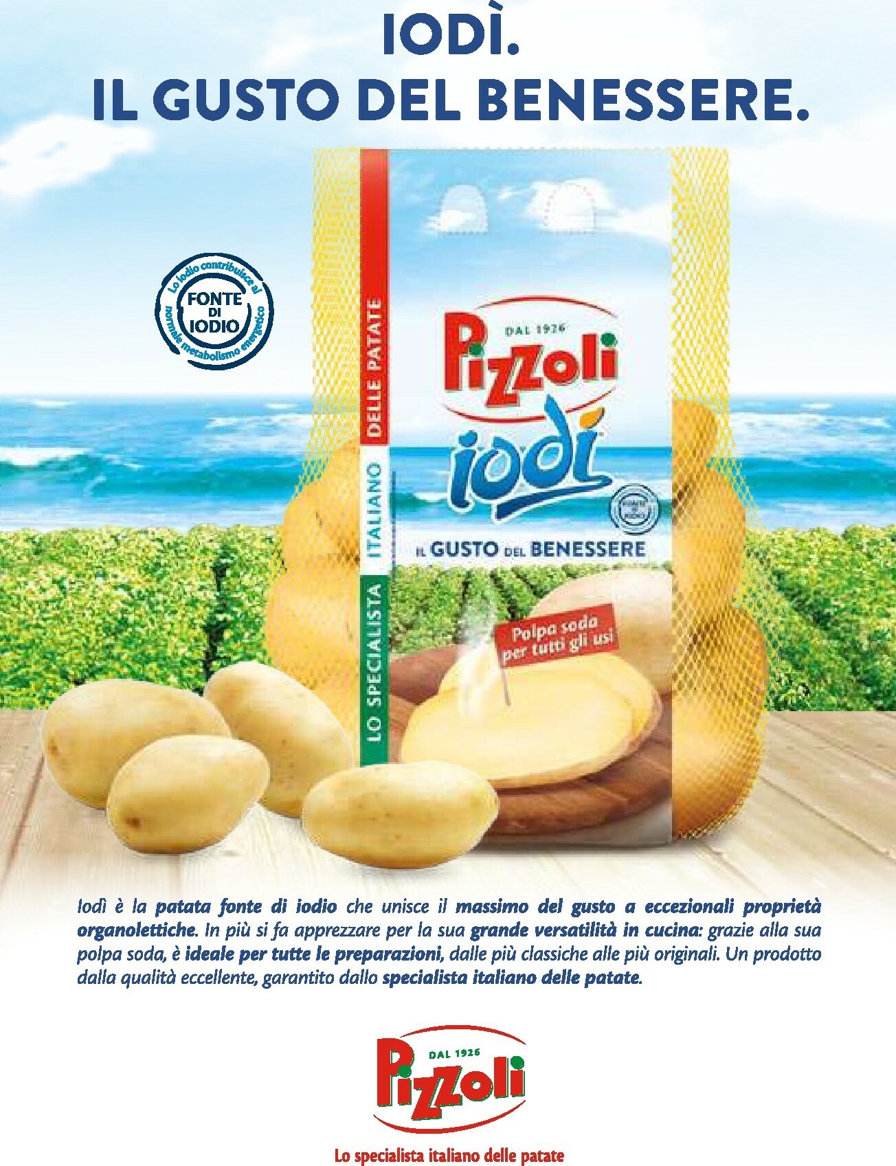 gulliver - Volantino Gulliver - Febbraio valido dal 01/02/2026 al 28/02/2026 - page: 12