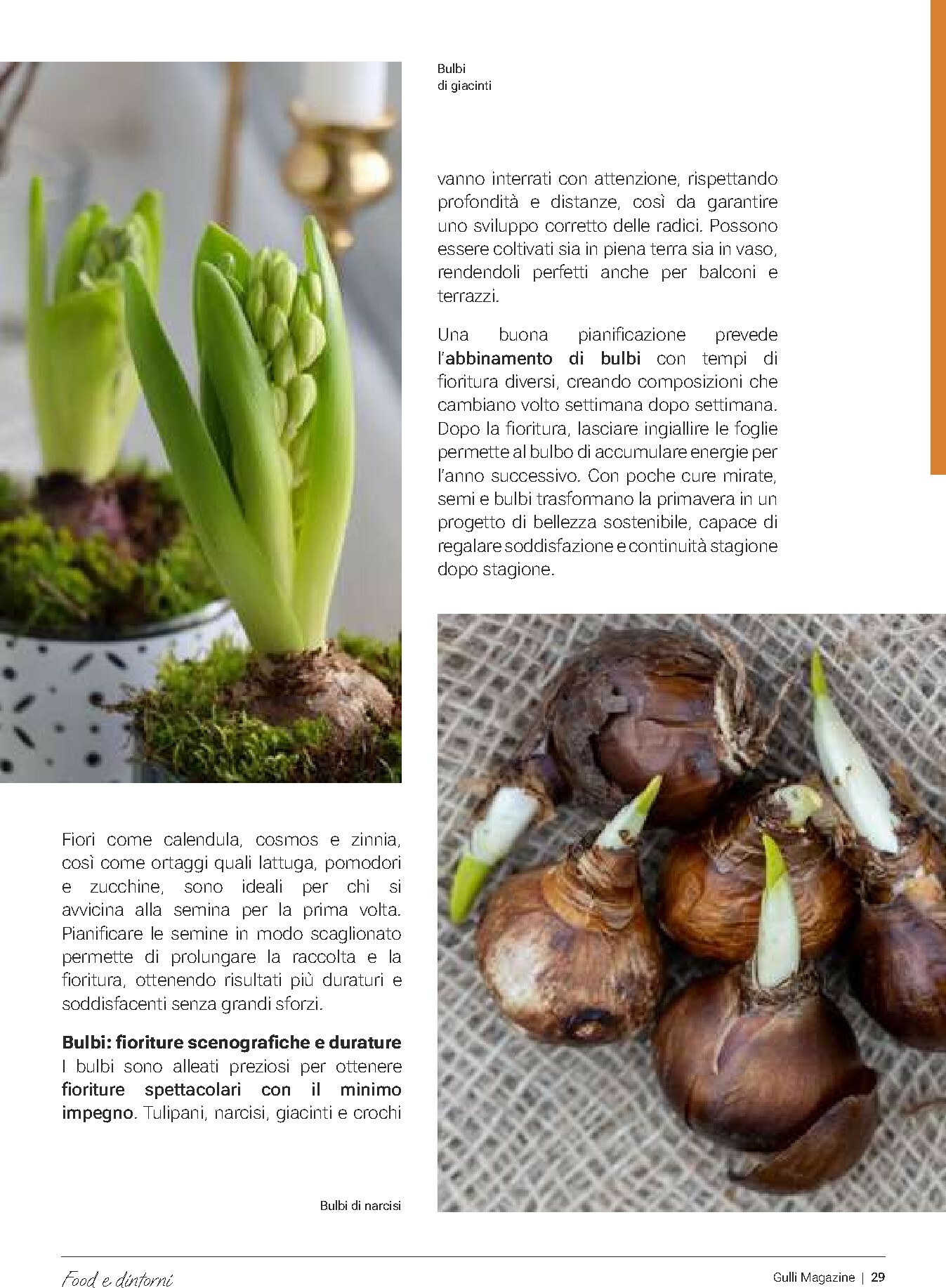 gulliver - Volantino Gulliver - Febbraio valido dal 01/02/2026 al 28/02/2026 - page: 29