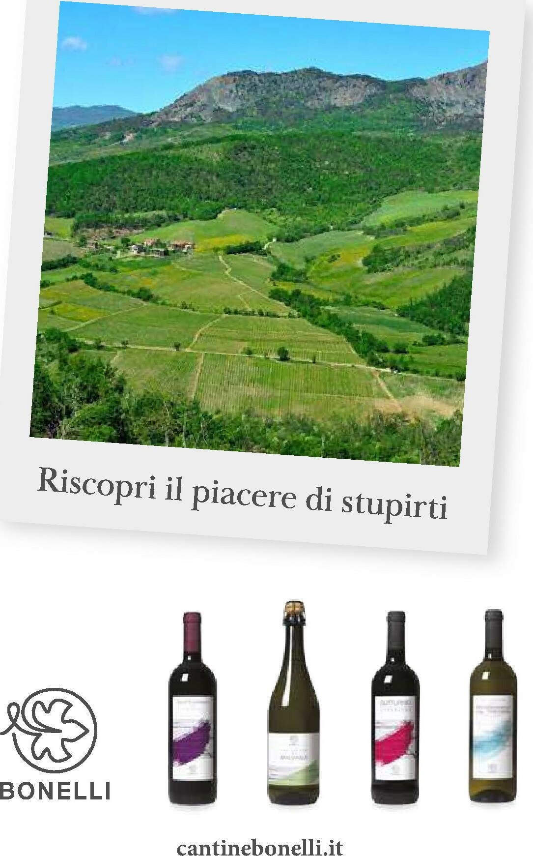 gulliver - Volantino Gulliver - Febbraio valido dal 01/02/2026 al 28/02/2026 - page: 56