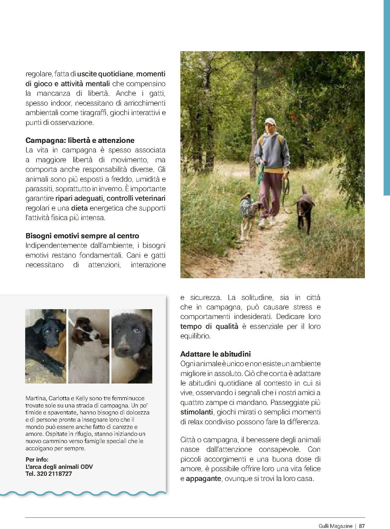 gulliver - Volantino Gulliver - Febbraio valido dal 01/02/2026 al 28/02/2026 - page: 87