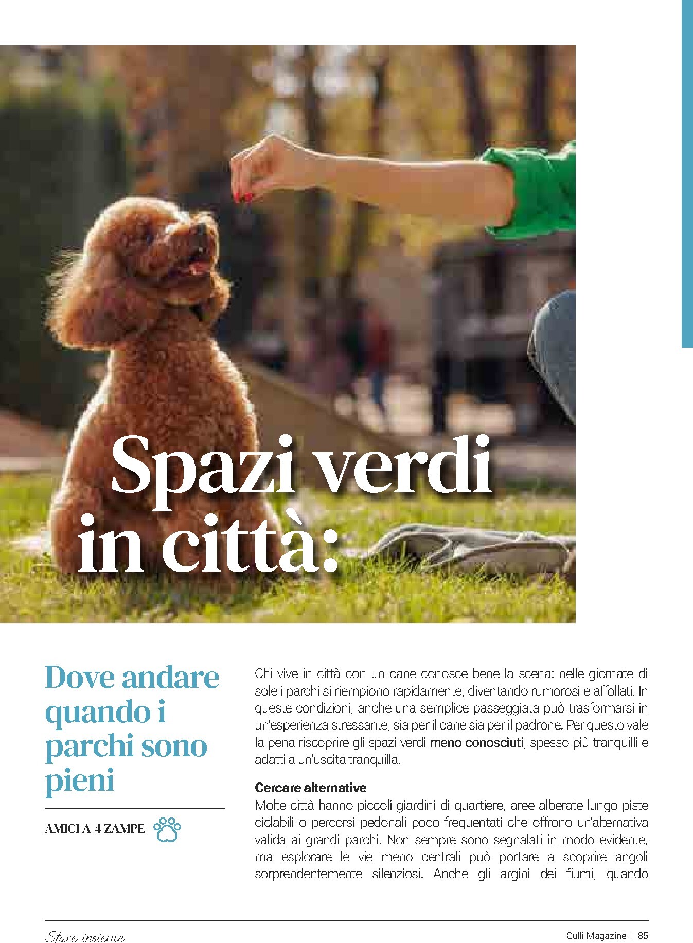 gulliver - Volantino Gulliver - Marzo valido dal 01/03/2026 al 31/03/2026 - page: 85