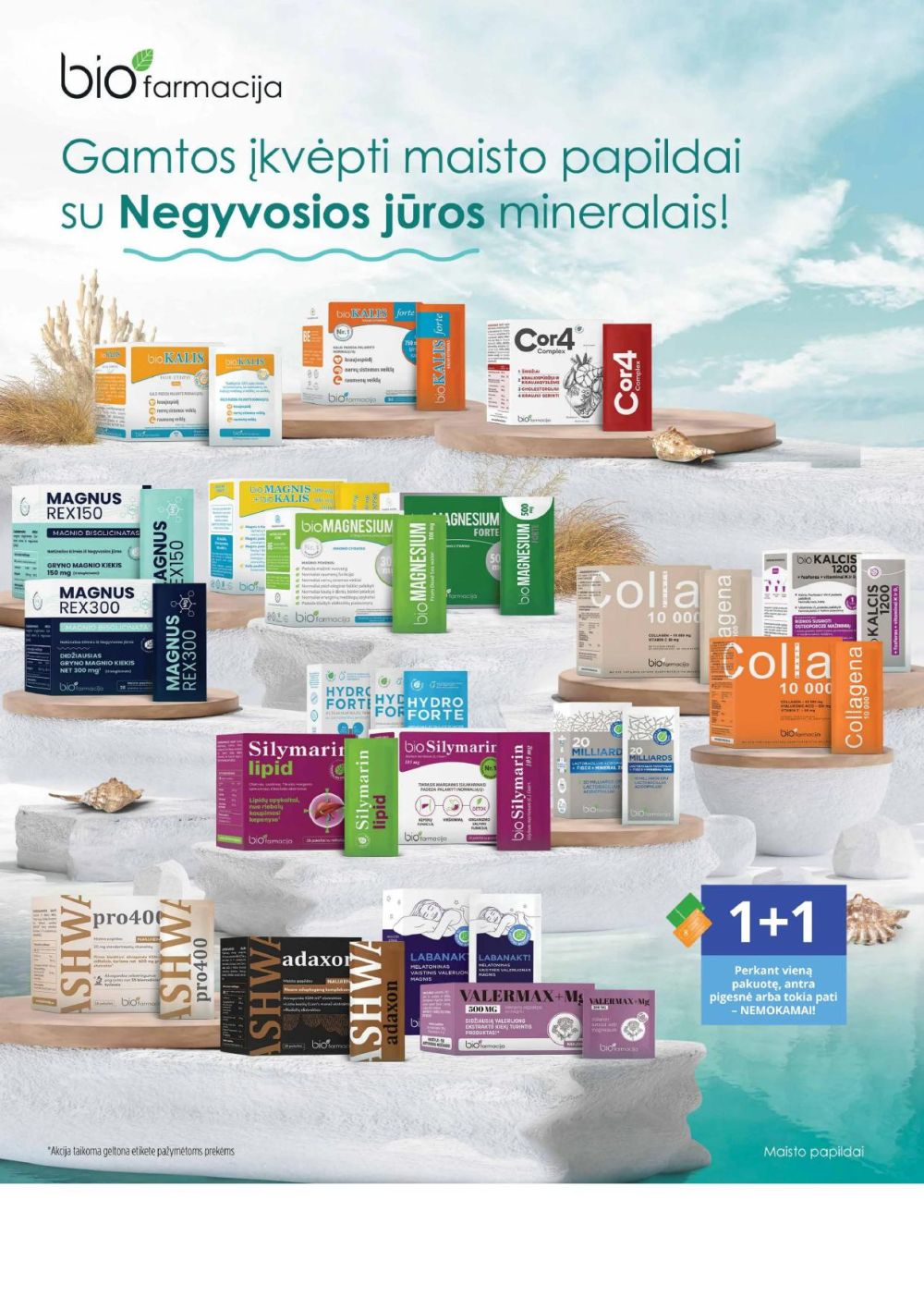 gintarine-vaistine - GINTARINĖ VAISTINĖ (2026 02 01 - 2026 02 28) - page: 2