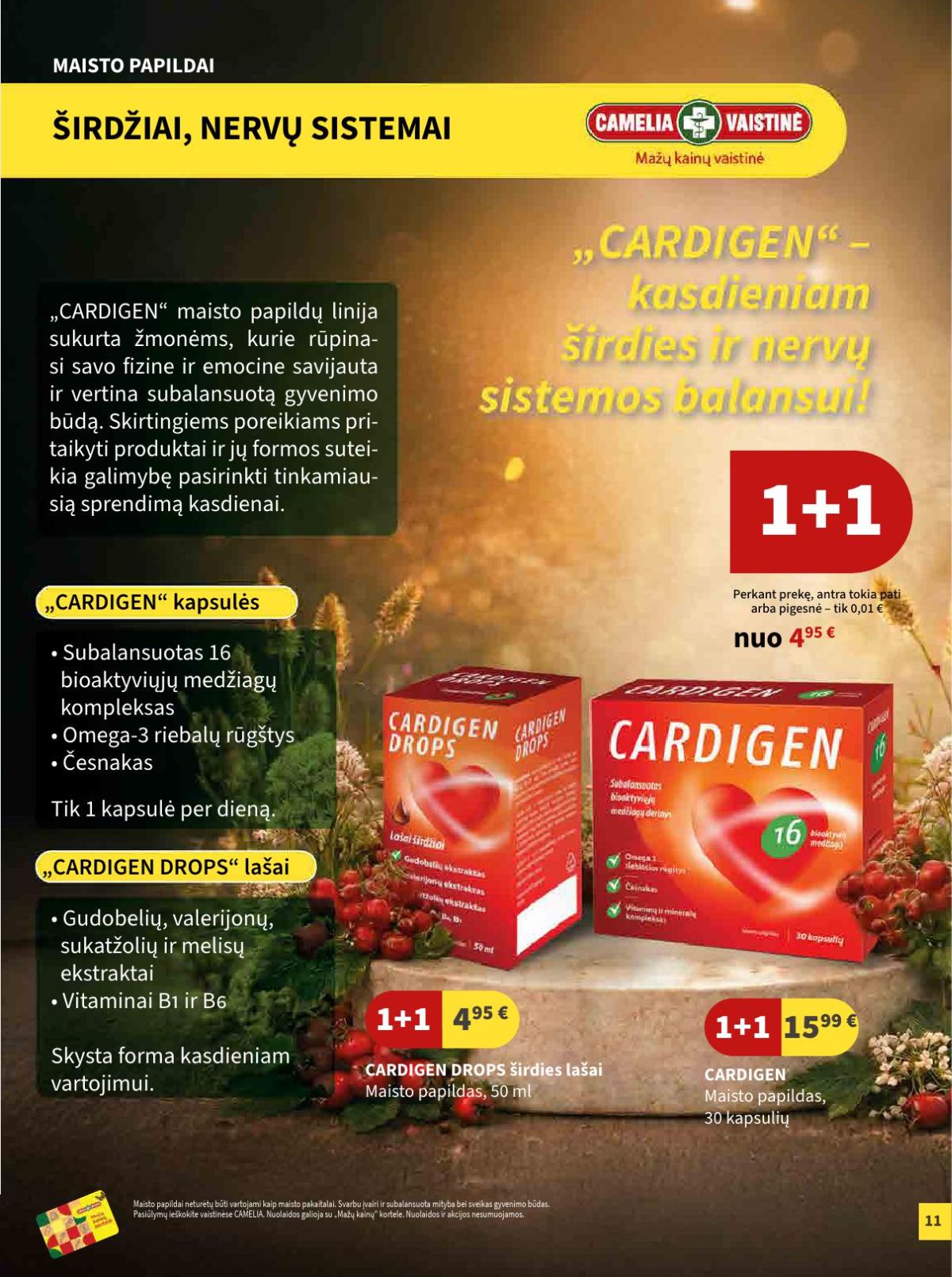 camelia - CAMELIA - Leidinys Nr.7 (2026 07 01 - 2026 07 31) - page: 6