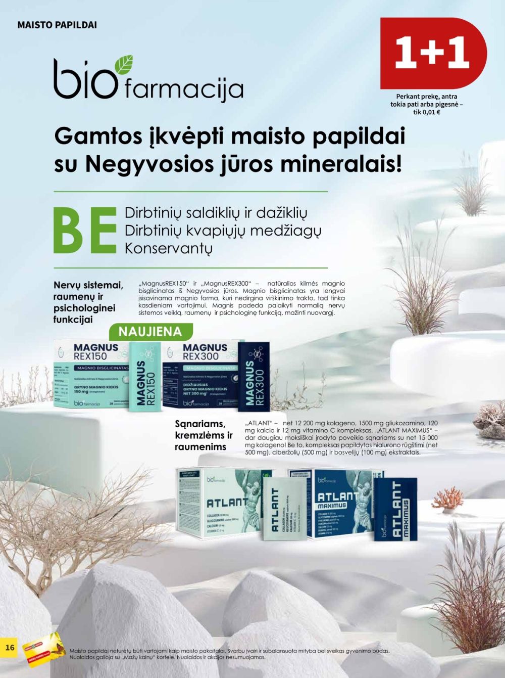 camelia - CAMELIA - Leidinys Nr.10 (2025 10 01 - 2025 10 31) - page: 16