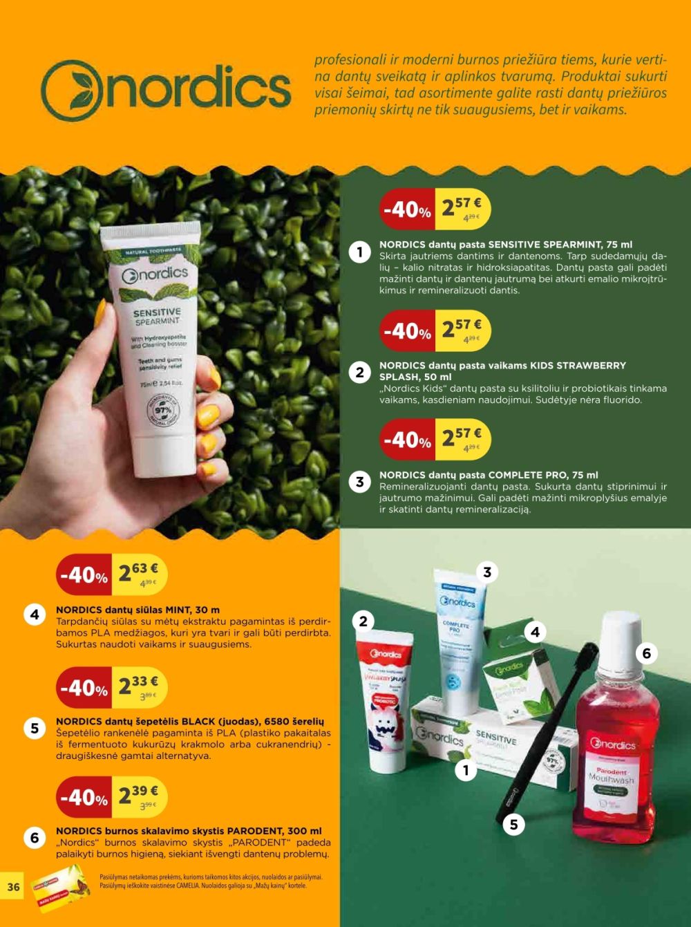 camelia - CAMELIA - Leidinys Nr.11 (2025 11 01 - 2025 11 30) - page: 36