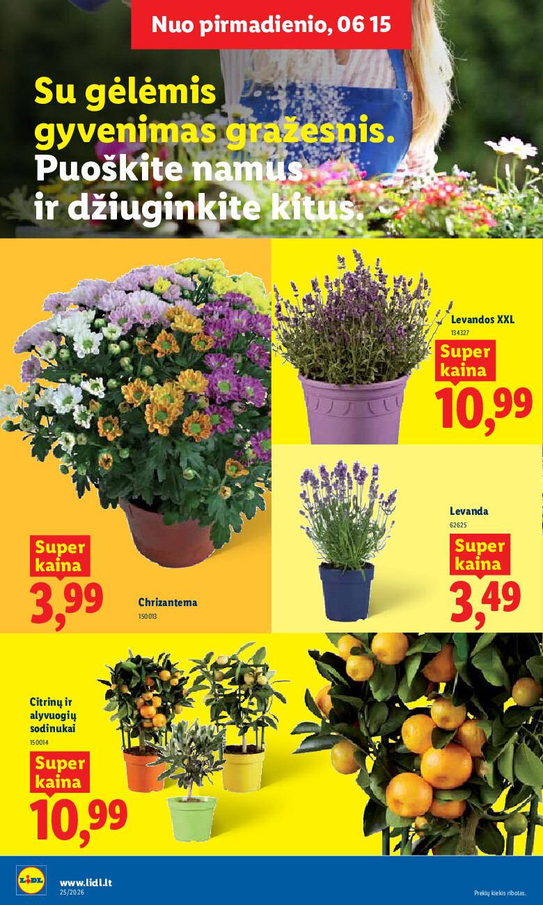 lidl - MAISTO PREKIŲ PASIŪLYMAI (2026-06-15 - 2026-06-21) - page: 8
