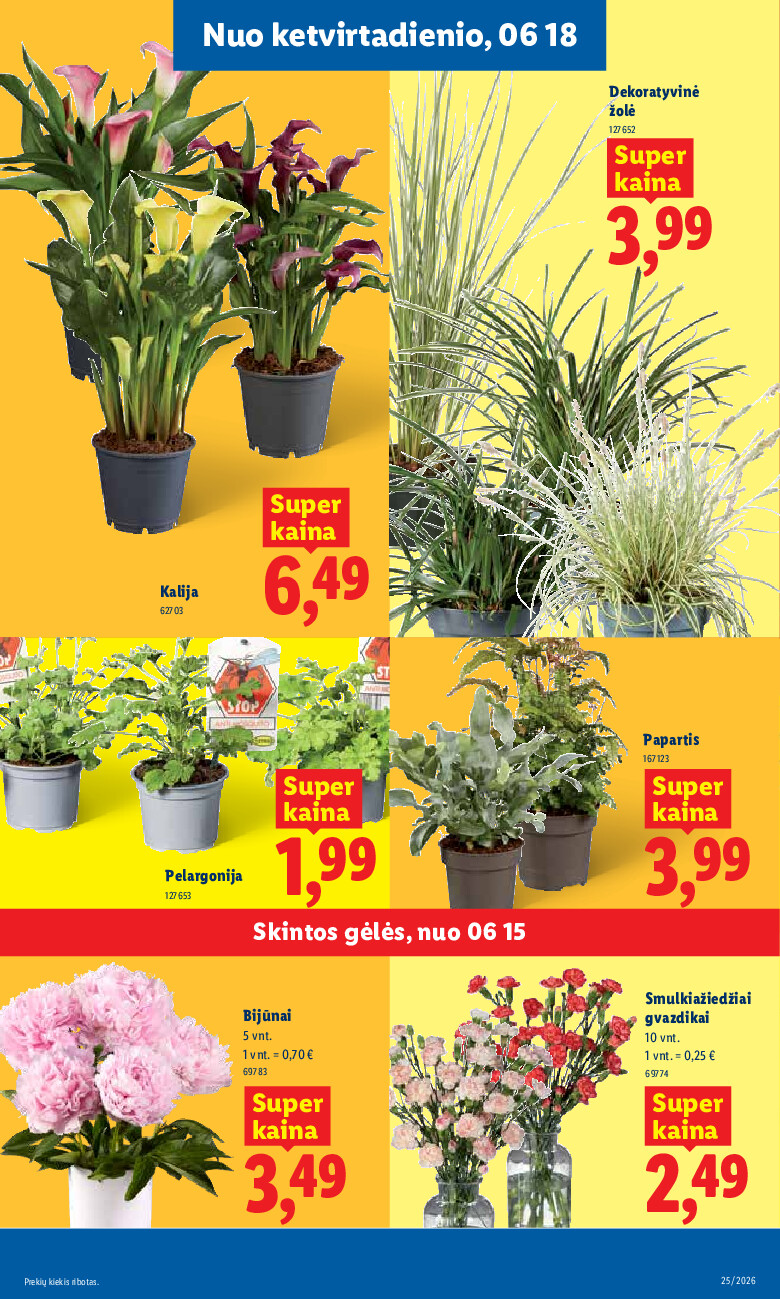lidl - MAISTO PREKIŲ PASIŪLYMAI (2026-06-15 - 2026-06-21) - page: 9