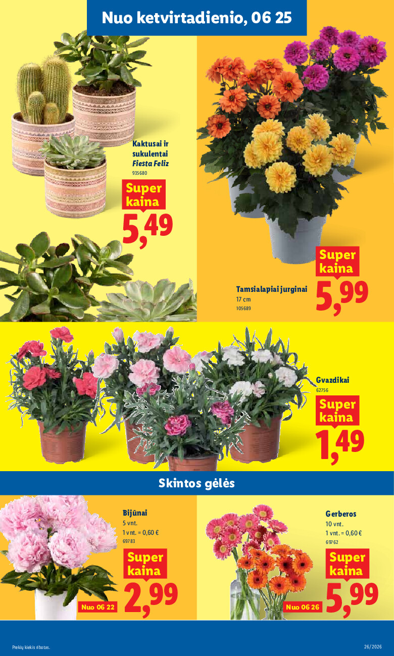 lidl - MAISTO PREKIŲ PASIŪLYMAI (2026-06-22 - 2026-06-28) - page: 9