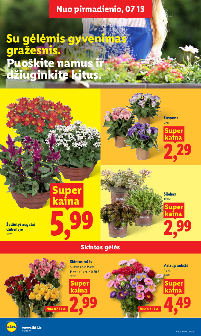 lidl - MAISTO PREKIŲ PASIŪLYMAI (2026-07-13 - 2026-07-19) - page: 8