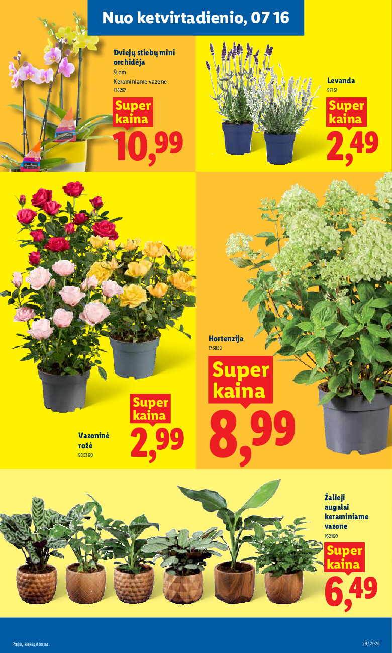 lidl - MAISTO PREKIŲ PASIŪLYMAI (2026-07-13 - 2026-07-19) - page: 9
