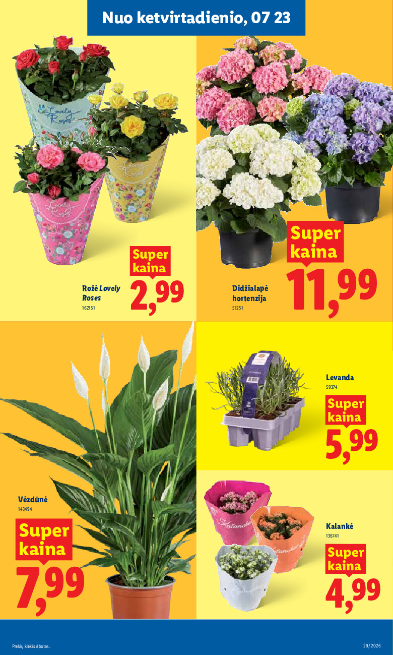 lidl - MAISTO PREKIŲ PASIŪLYMAI (2026-07-20 - 2026-07-26) - page: 9